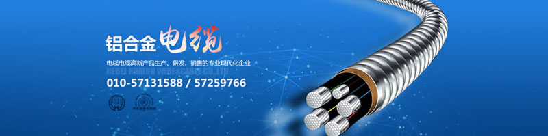 滄州市統(tǒng)計工作規(guī)范化建設推進會在華倫公司順利召開！